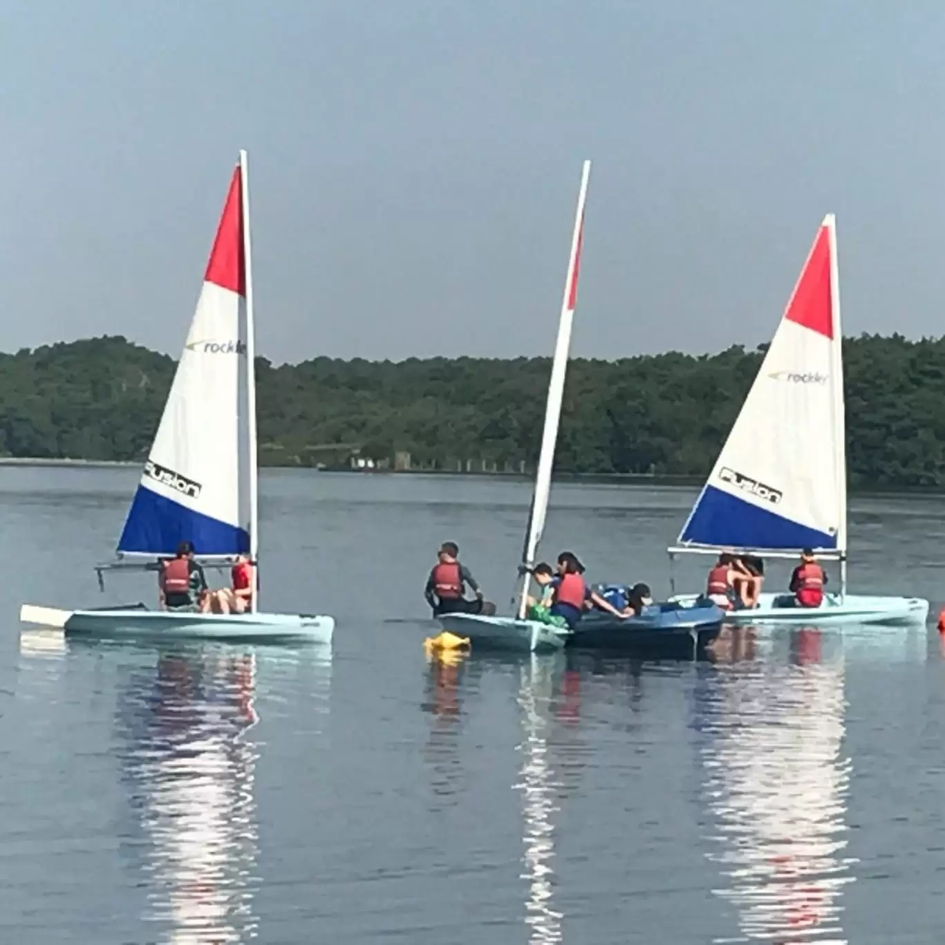 35562741375_bfeae1174d_o