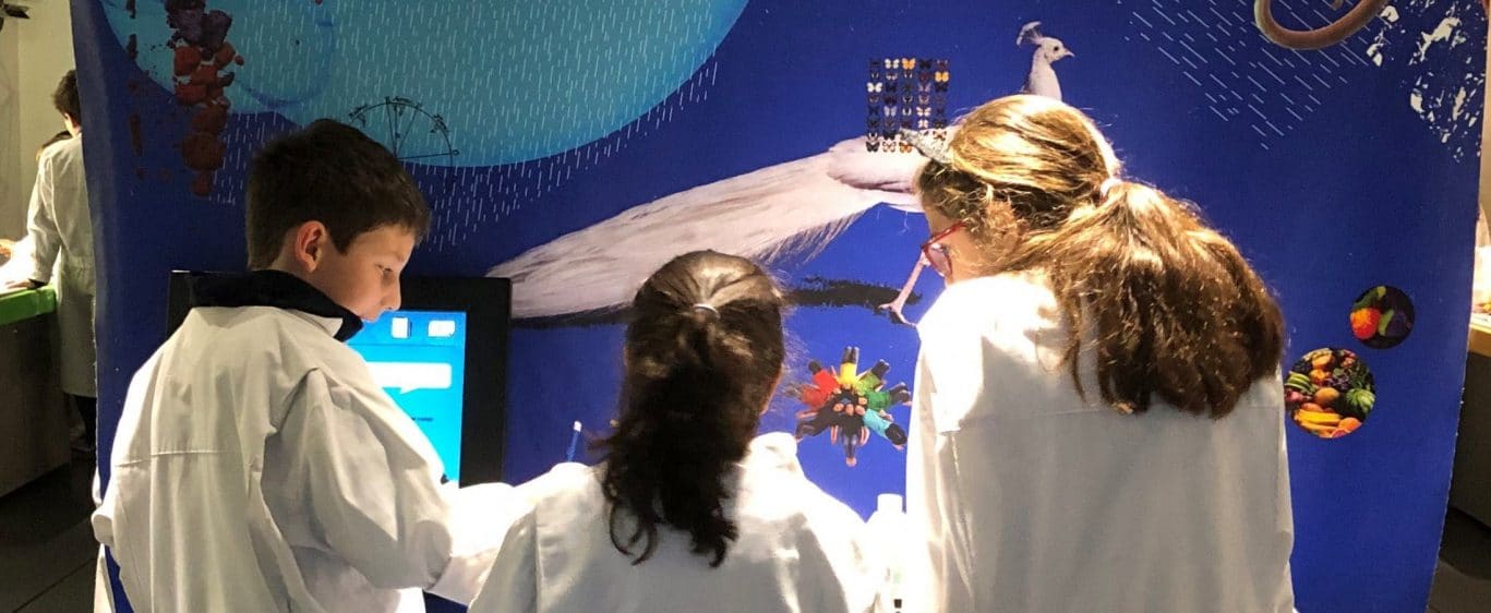 49012994091_8d764f3524_o – Copy (2)