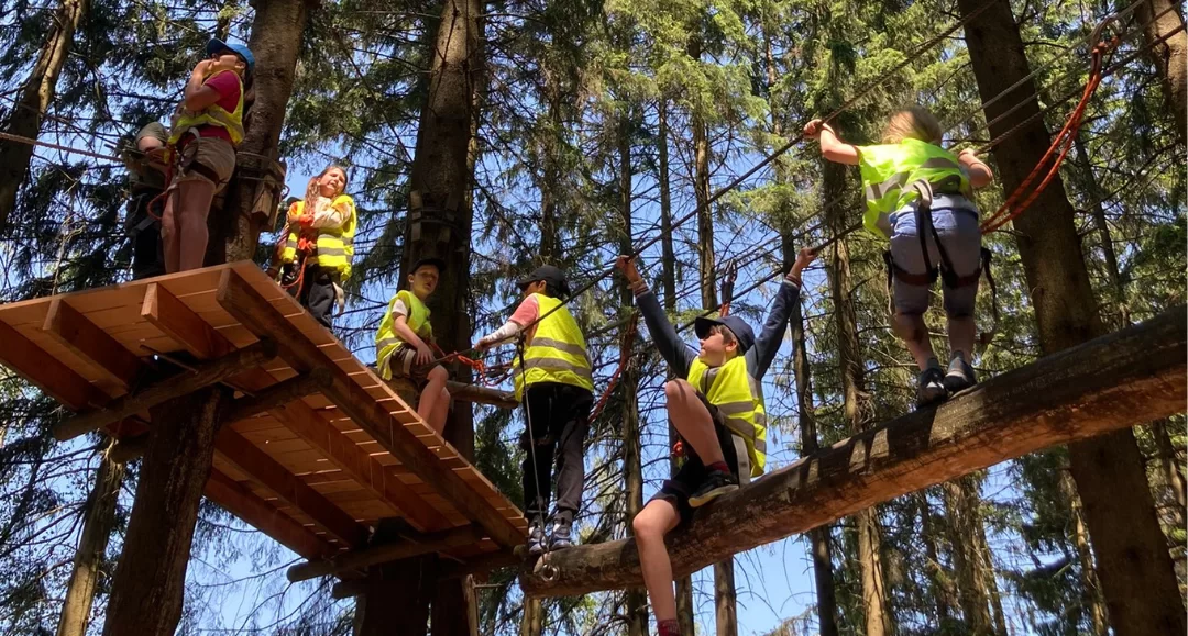 Treetop adventures - trips