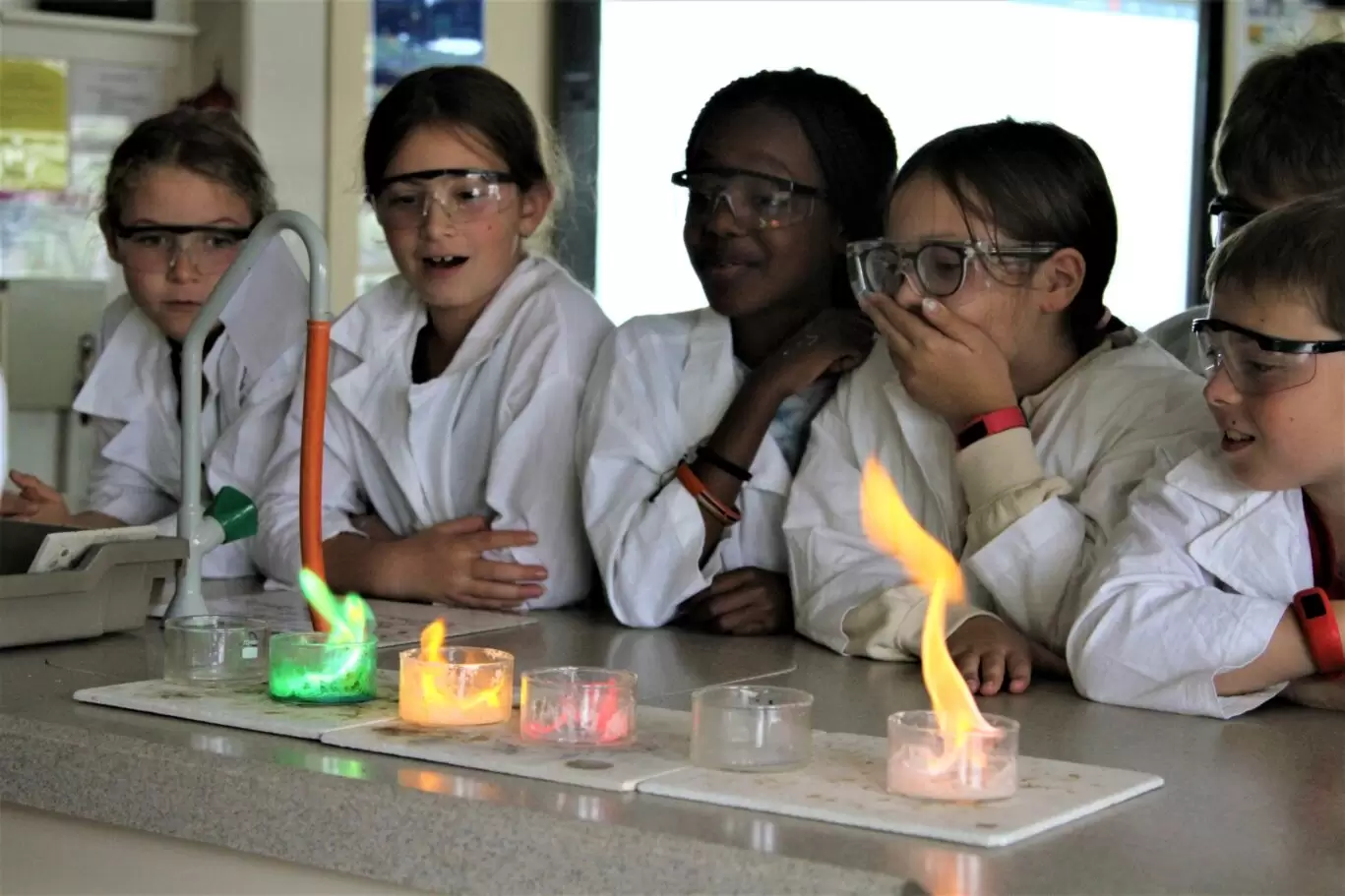 Primary science - British primary school brussels