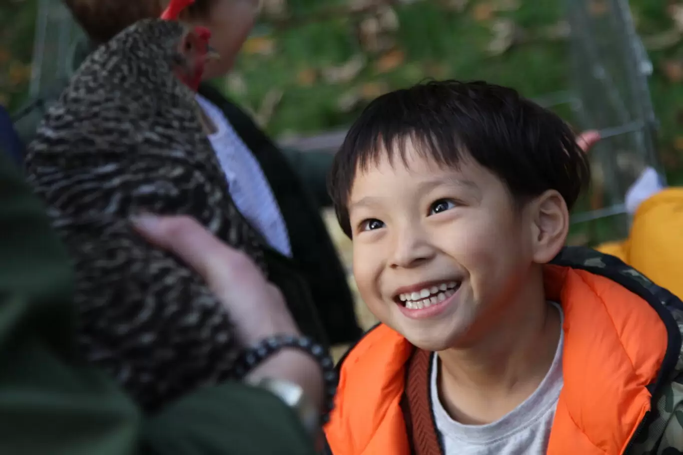 51664131926_f6d3e04de2_o