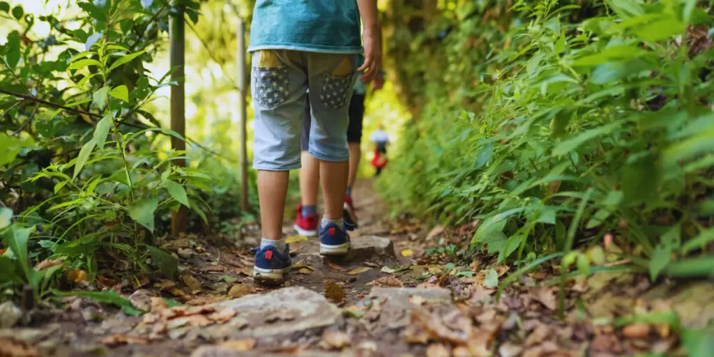 imageedit_2_6617204233