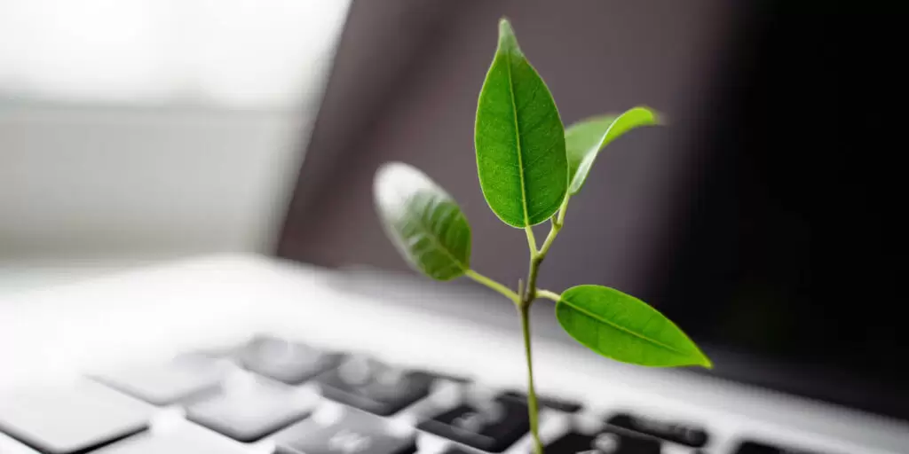 imageedit_2_8423332321