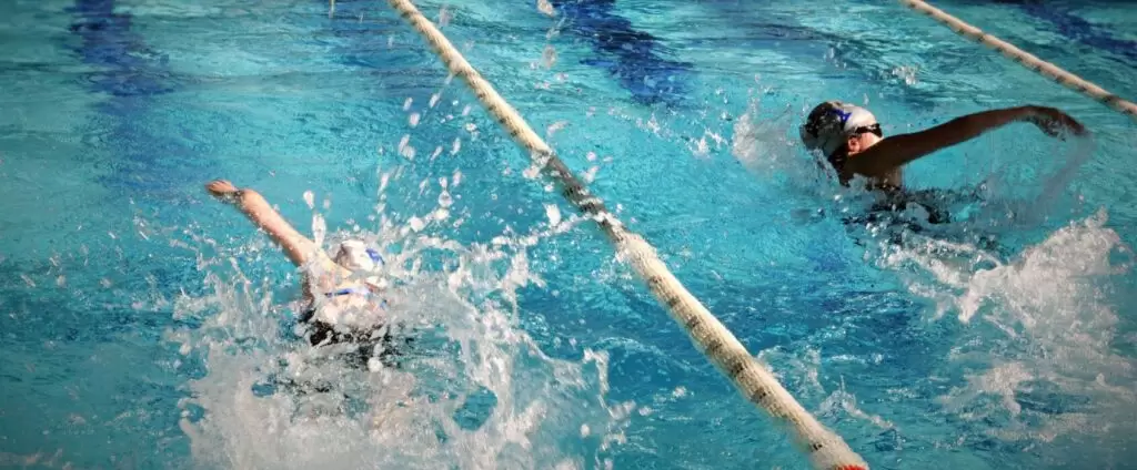 imageedit_9_7833631391