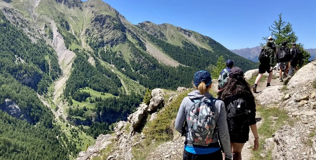 52211166048_cab496e898_o